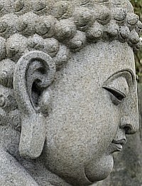Faccia di Buddha